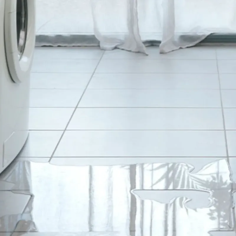 Appliance Leak Cleanup in Lawrenceville, VA