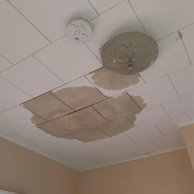 Ceiling Water Damage Repair in Lawrenceville, VA