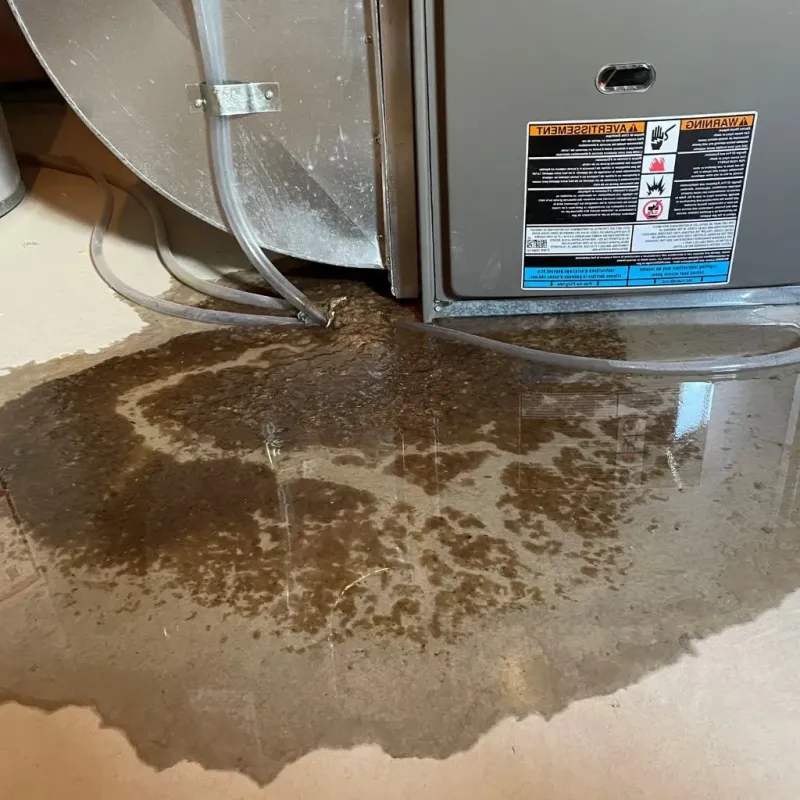 Pipe Burst and Leak Restoration in Lawrenceville, VA