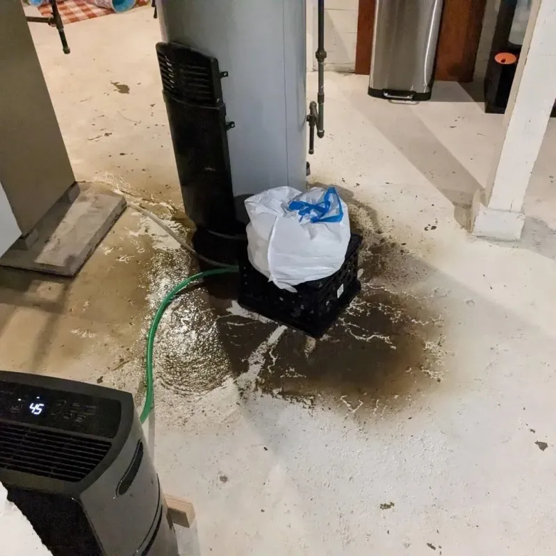 Sewage Backup Cleanup Service in Lawrenceville, VA